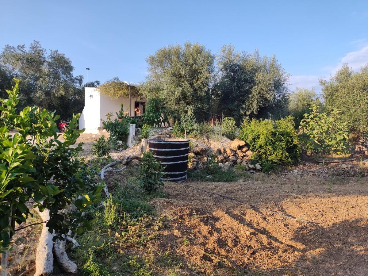 Corfu Oasis Studio Neochorakion Zewnętrze zdjęcie